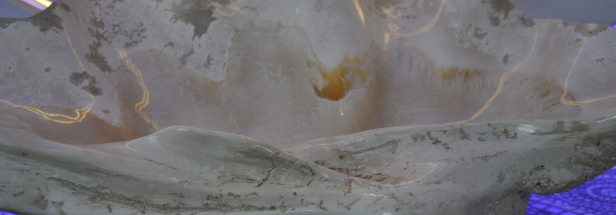 ES WERDE LICHT, ES WERDE GLANZ...