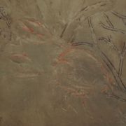 Wandmodelierung - Krebsrelief - Ritztechnik